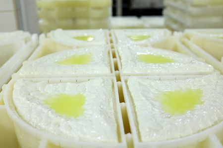 tagreuters.com2025binary_LYNXNPEL320C8-VIEWIMAGE