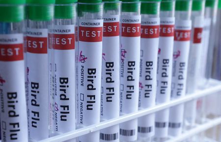 tagreuters.com2025binary_LYNXNPEL510JE-VIEWIMAGE