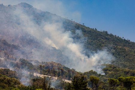 tagreuters.com2025binary_LYNXNPEL8H03V-VIEWIMAGE