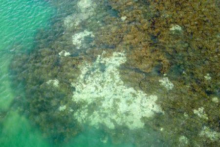 tagreuters.com2025binary_LYNXNPEL9B0C4-VIEWIMAGE