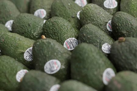 tagreuters.com2025binary_LYNXMPEL160E3-VIEWIMAGE