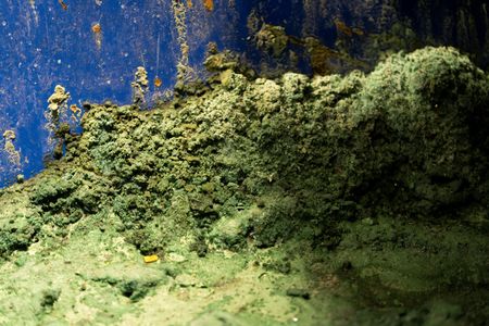 tagreuters.com2025binary_LYNXMPEL5H0H8-VIEWIMAGE