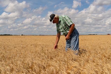 tagreuters.com2025binary_LYNXMPEL5I0FN-VIEWIMAGE