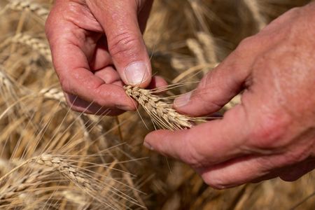 tagreuters.com2025binary_LYNXMPEL5I0FR-VIEWIMAGE