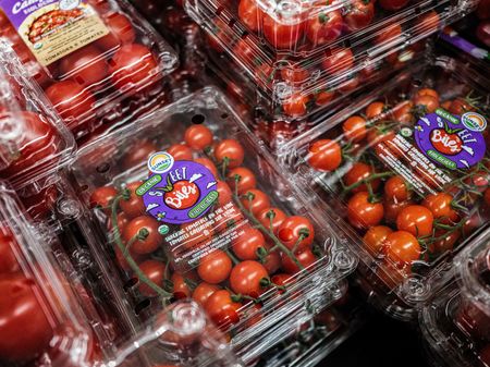 tagreuters.com2025binary_LYNXMPEL6E0ZJ-VIEWIMAGE