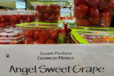 tagreuters.com2025binary_LYNXMPEL6E0ZK-VIEWIMAGE