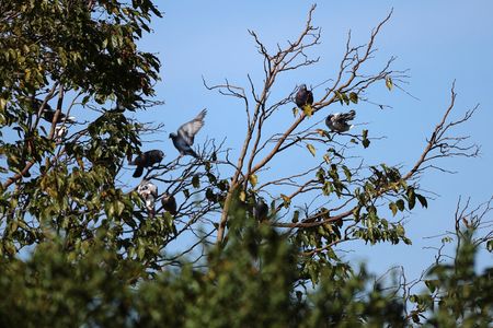 tagreuters.com2025binary_LYNXMPEL75107-VIEWIMAGE