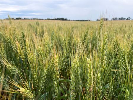 tagreuters.com2025binary_LYNXMPEL7K0XG-VIEWIMAGE