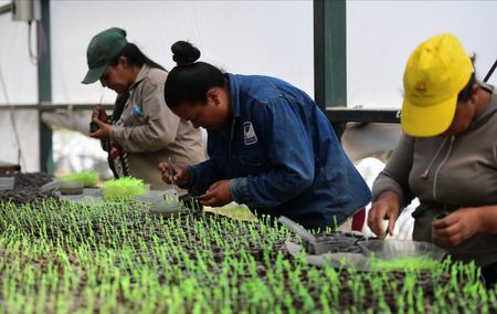 tagreuters.com2025binary_LYNXMPELB30KB-VIEWIMAGE