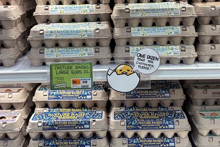 tagreuters.com2025binary_LYNXNPEL1J05O-VIEWIMAGE