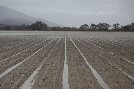 tagreuters.com2023binary_LYNXMPEJ0C0UP-VIEWIMAGE