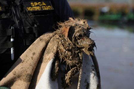 tagreuters.com2023binary_LYNXMPEJ2F0ZH-VIEWIMAGE