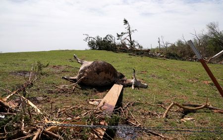 tagreuters.com2023binary_LYNXMPEJ3J0W7-VIEWIMAGE