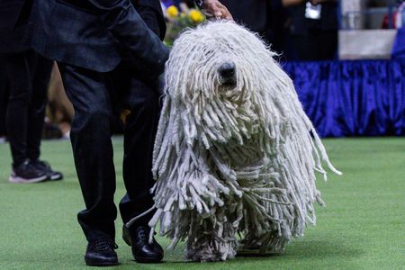 tagreuters.com2023binary_LYNXMPEJ4904W-VIEWIMAGE