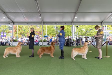 tagreuters.com2023binary_LYNXMPEJ49051-VIEWIMAGE