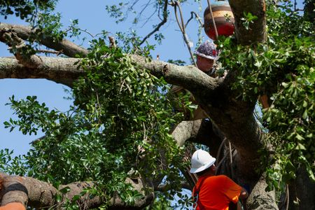 tagreuters.com2024binary_LYNXMPEK4I015-VIEWIMAGE