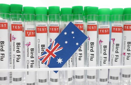 tagreuters.com2024binary_LYNXMPEK4N0RE-VIEWIMAGE