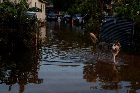 tagreuters.com2024binary_LYNXMPEK68069-VIEWIMAGE