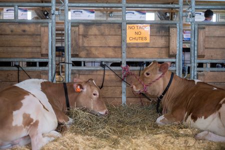 tagreuters.com2024binary_LYNXMPEK7U02W-VIEWIMAGE