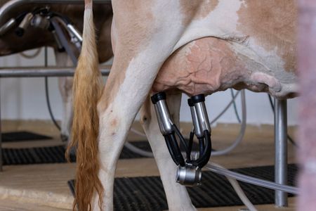 tagreuters.com2024binary_LYNXMPEK7U03I-VIEWIMAGE