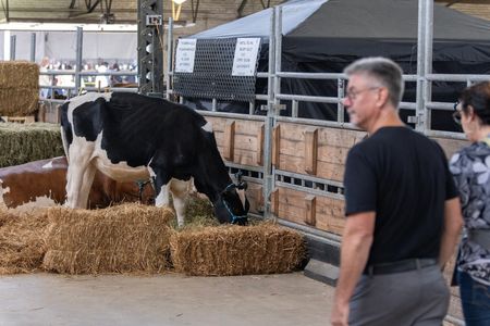 tagreuters.com2024binary_LYNXMPEK7U03J-VIEWIMAGE