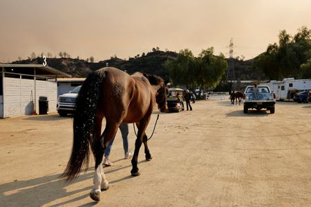 tagreuters.com2025binary_LYNXMPEL0B00D-VIEWIMAGE