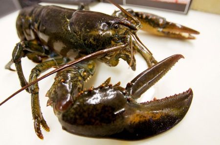 tagreuters.com2025binary_LYNXNPEL0T144-VIEWIMAGE