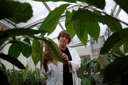 tagreuters.com2024binary_LYNXMPEK7B03D-VIEWIMAGE