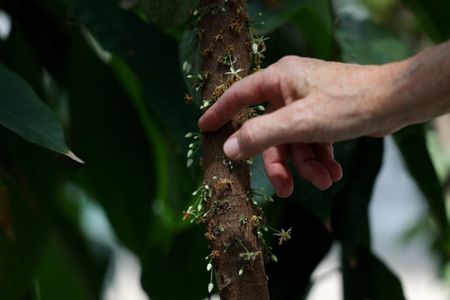 tagreuters.com2024binary_LYNXMPEK7B03G-VIEWIMAGE