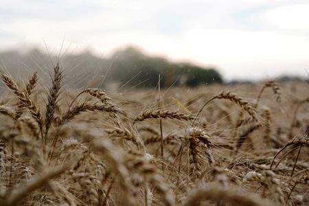 tagreuters.com2025binary_LYNXMPEL1109G-VIEWIMAGE