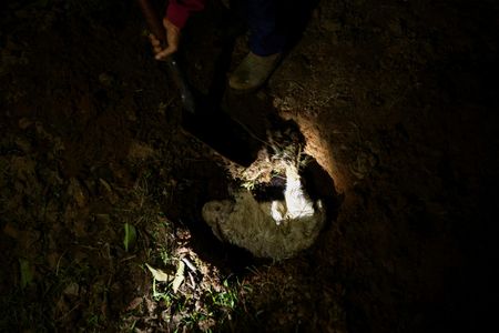 tagreuters.com2024binary_LYNXMPEK7S0JE-VIEWIMAGE