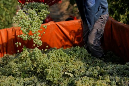 tagreuters.com2024binary_LYNXMPEK7T08M-VIEWIMAGE