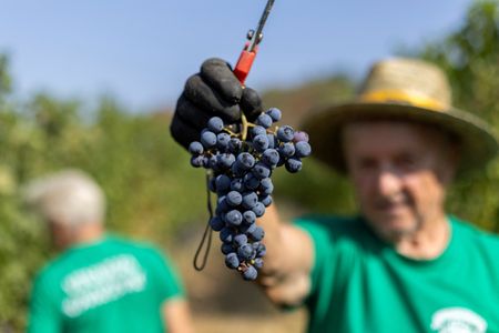 tagreuters.com2024binary_LYNXMPEK7T08N-VIEWIMAGE