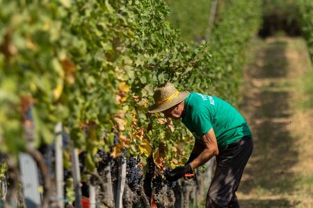 tagreuters.com2024binary_LYNXMPEK7T08Q-VIEWIMAGE