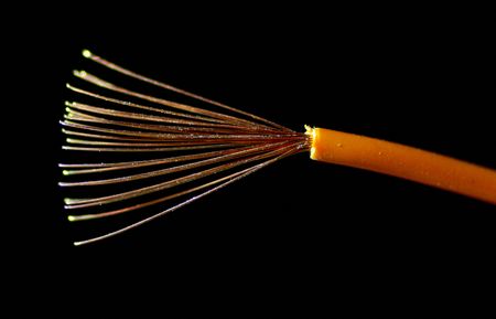 tagreuters.com2025binary_LYNXMPEL6U0UA-VIEWIMAGE