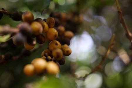 tagreuters.com2025binary_LYNXMPEL7028A-VIEWIMAGE