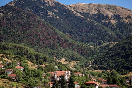 tagreuters.com2025binary_LYNXMPELA40T0-VIEWIMAGE