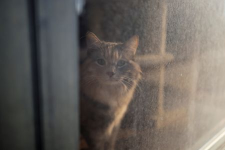 tagreuters.com2025binary_LYNXNPEL0S10Y-VIEWIMAGE