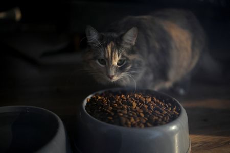 tagreuters.com2025binary_LYNXNPEL0S10Z-VIEWIMAGE