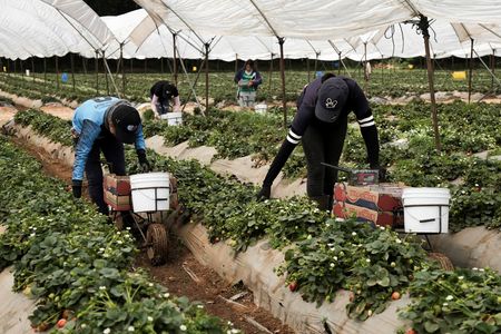 tagreuters.com2025binary_LYNXNPEL240VX-VIEWIMAGE