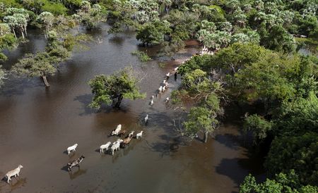 tagreuters.com2025binary_LYNXNPEL370HK-VIEWIMAGE