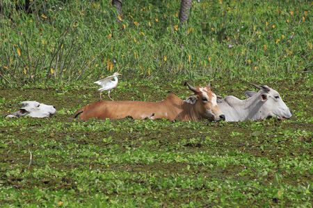 tagreuters.com2025binary_LYNXNPEL370HM-VIEWIMAGE