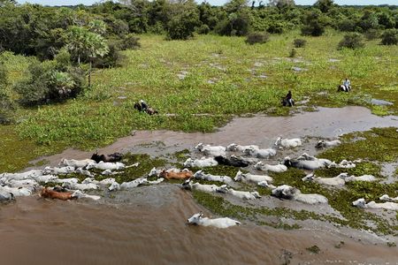 tagreuters.com2025binary_LYNXNPEL370HQ-VIEWIMAGE